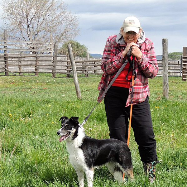 Idaho Stockdog Herding
