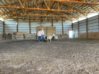 stockdog club